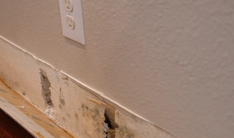 Moisture inspection Lake Hills Bellevue WA