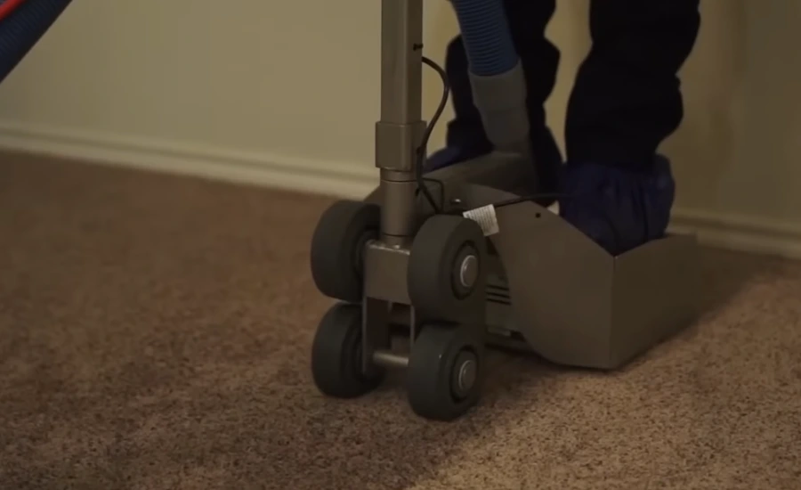 Carpet water extraction Bellevue WA