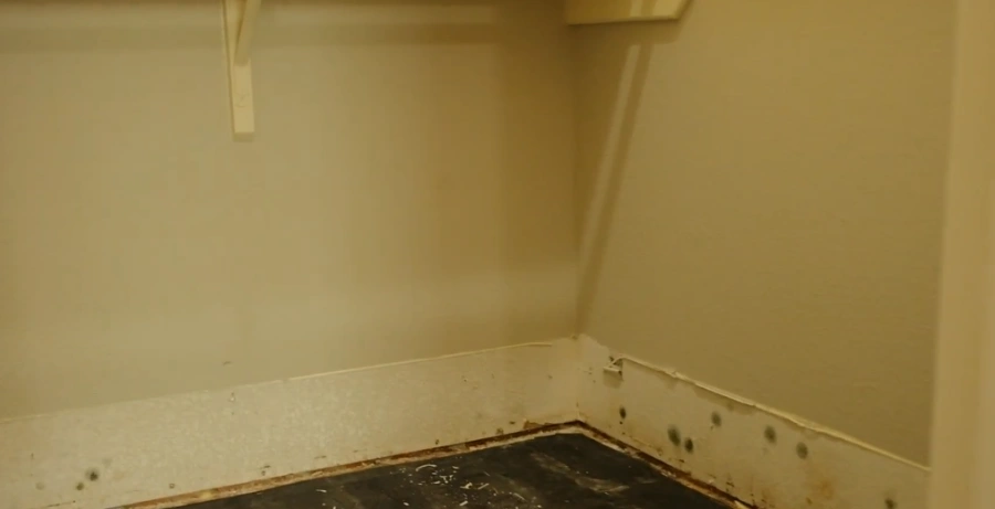 Sewage backup inspection Bellevue WA