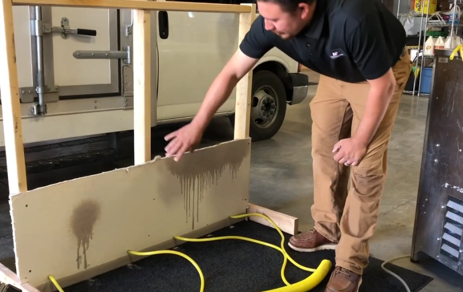 Mold drywall removal Bellevue WA